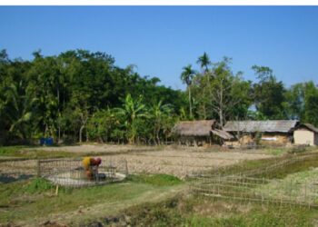 Centre releases Rs 219.24 cr Finance Commission grants for rural Assam