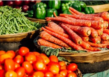 India’s food waste is turning into an environmental time bomb