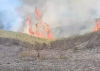 Wildfire rages in Nagaland’s Dzukou Valley for third day; aerial firefighting planned