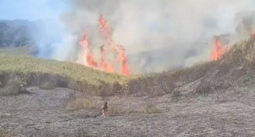 Wildfire rages in Nagaland’s Dzukou Valley for third day; aerial firefighting planned