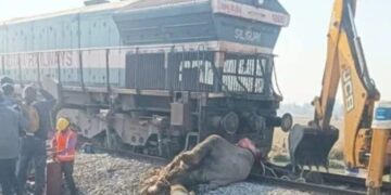 Elephant–train collision in Assam: Injured calf dies, toll rises to eight