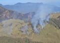 Nagaland: Western Dzükou valley wildfire contained; area closed temporarily