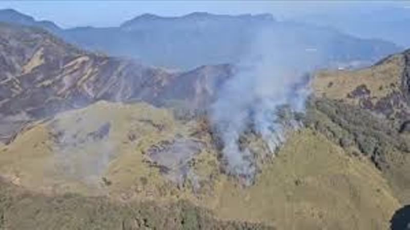 Nagaland: Western Dzükou valley wildfire contained; area closed temporarily