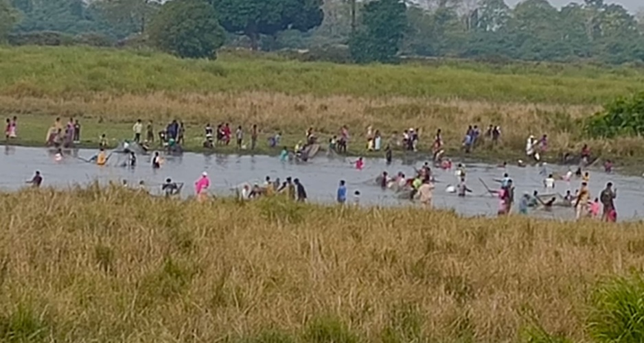 Magh Bihu fishing: Gauhati HC orders strict enforcement of fishing ban in Kaziranga, flags threat to fragile ecosystem