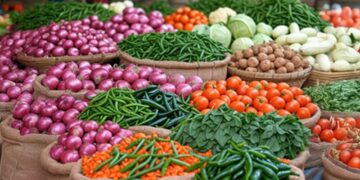 WPI inflation stays negative in November as food prices drag; outlook benign