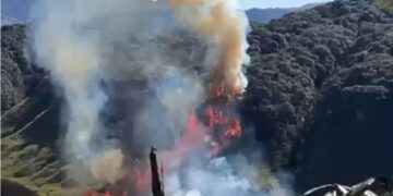 Nagaland: Major wildfire breaks out in Western Dzukou Valley