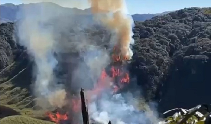 Nagaland: Major wildfire breaks out in Western Dzukou Valley