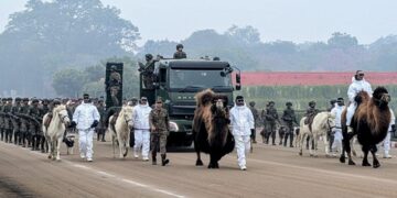 Republic Day 2026: Indian Army’s animal contingent to march on Kartavya Path for first time