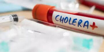 Cholera toll in south Mizoram rises to 13; borders with Myanmar sealed