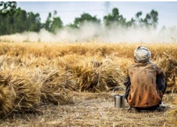 India’s climate diplomacy must account for domestic inequalities