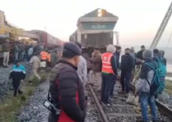 Assam: Eight elephants killed in Rajdhani Express collision in Hojai; coaches derailed