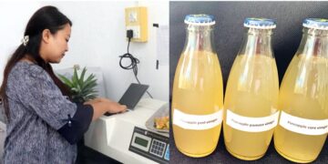 From waste to wealth: Nagaland University develops vinegar from pineapple peels