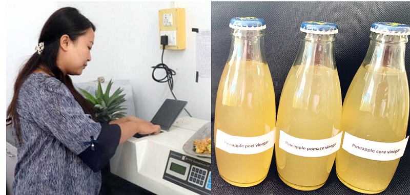 From waste to wealth: Nagaland University develops vinegar from pineapple peels