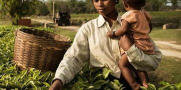 Assam govt relaxes two-child norm for ST, SC, tea garden, Moran & Matak communities