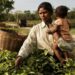 Assam govt relaxes two-child norm for ST, SC, tea garden, Moran & Matak communities