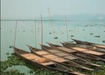 NGT takes suo motu note of degradation at Ramsar site Deepor Beel