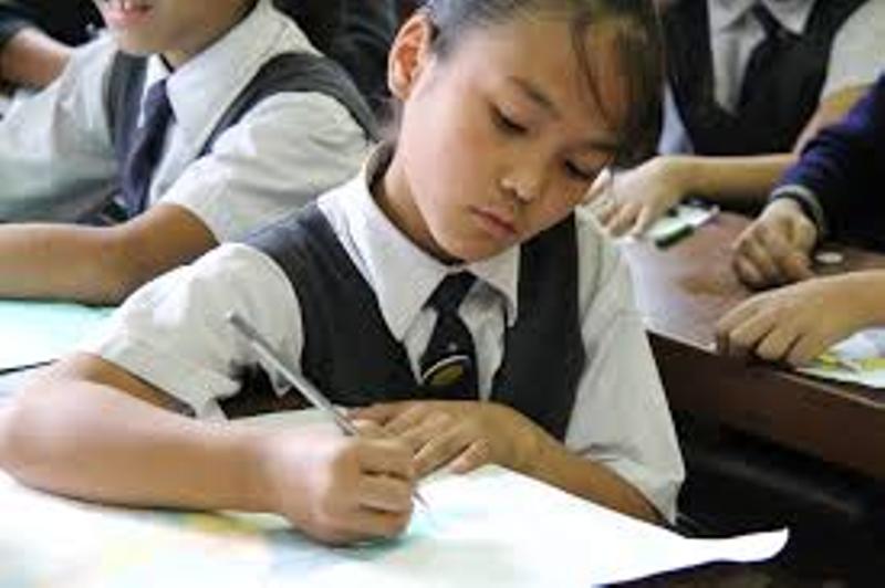 Chakma Autonomous District Council area in Mizoram records 61% literacy rate