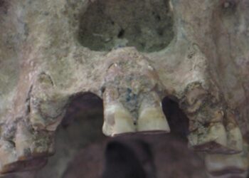 How migration made the human world