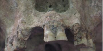 How migration made the human world