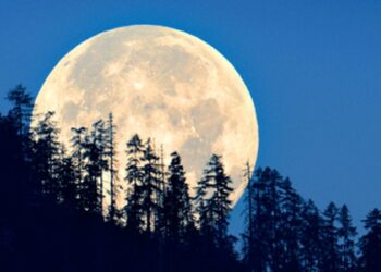 Skywatchers in for treat as Paush Purnima coincides with ‘Wolf Supermoon’