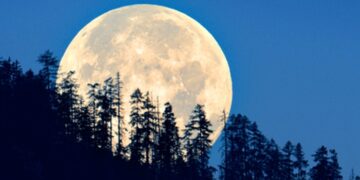 Skywatchers in for treat as Paush Purnima coincides with ‘Wolf Supermoon’