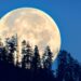 Skywatchers in for treat as Paush Purnima coincides with ‘Wolf Supermoon’