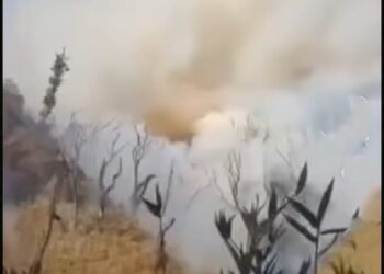 Over 30 trekkers evacuated as wildfire breaks out in Nagaland’s Dzukou Valley