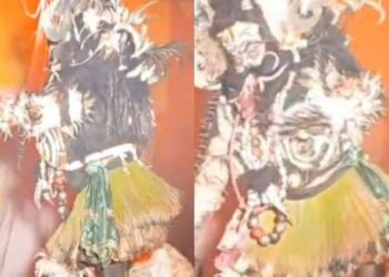 FIR lodged against performer in Nagaon after PETA flags alleged animal killings during stage show