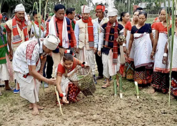Ali-Aye-Ligang celebrations showcase Mising community’s rich agrarian traditions
