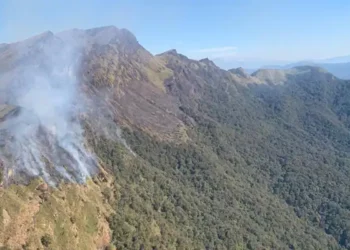Active fires near Mt. Japfü raise fresh concerns in Nagaland’s Dzukou Valley