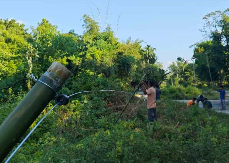 Aaranyak installs solar-powered fence in Assam’s Baksa to curb human-elephant conflict