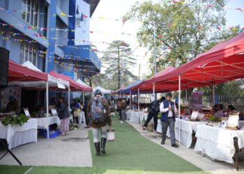Shillong farmers’ market showcases local strawberries, premium black pepper