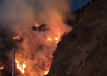 Army, IAF launch massive operations to contain forest fires in Arunachal, Nagaland