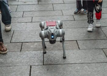 Research and innovation in India: Between expansion and integrity