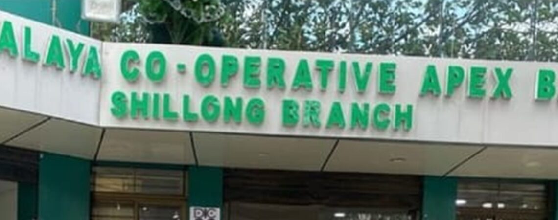 Meghalaya Co-operative Apex Bank wins NAFSCOB award for FY 2024–25