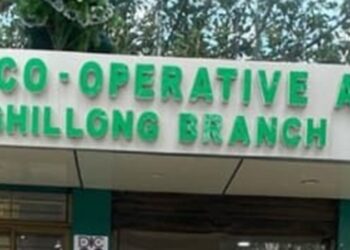 Meghalaya Co-operative Apex Bank wins NAFSCOB award for FY 2024–25