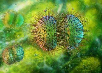 Meghalaya on alert after suspected Meningococcal cases; Health Dept issues advisory