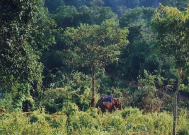 Guwahati Ring Road project sparks environmental concerns over wetlands and forests