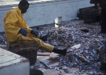 Game on: How math can help design strategies for climate crisis, diplomacy