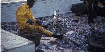 Game on: How math can help design strategies for climate crisis, diplomacy