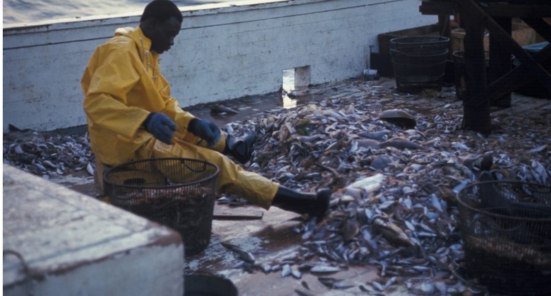 Game on: How math can help design strategies for climate crisis, diplomacy