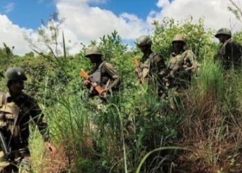 165 militants surrender in Tirap, Changlang and Longding in six years: Arunachal Home Minister