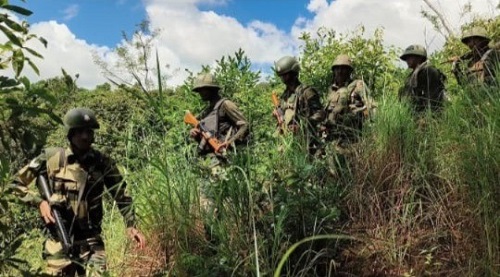 165 militants surrender in Tirap, Changlang and Longding in six years: Arunachal Home Minister