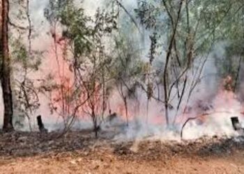 IAF helicopter joins operation to douse forest fire near Sigar Military Station in Arunachal Pradesh