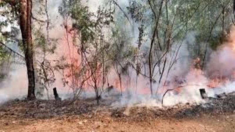 IAF helicopter joins operation to douse forest fire near Sigar Military Station in Arunachal Pradesh