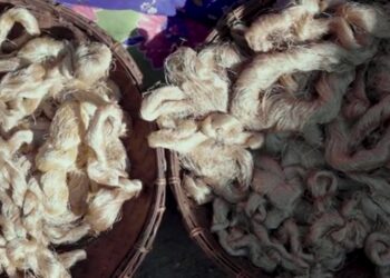 Assam produces 90% of India’s Muga silk, 65% of Eri silk, says CM