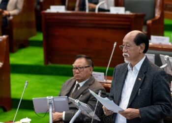 Nagaland CM Neiphiu Rio during the Assembly session on Tuesday (DIPR/X)