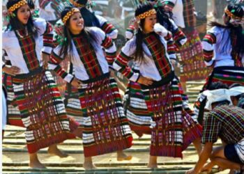 Mizoram women’s body urges repeal of new Marriage, Inheritance Amendment Act