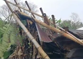 Storm damages around 100 houses in Assam’s Dibrugarh district