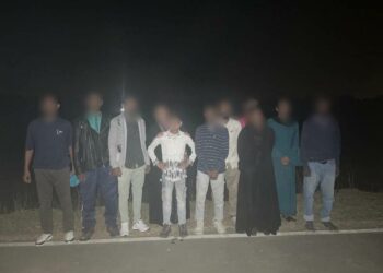 Assam pushes back 12 illegal migrants to Bangladesh: CM Sarma